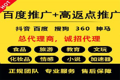 百度竞价排名案例分析：提升网站流量与转化率